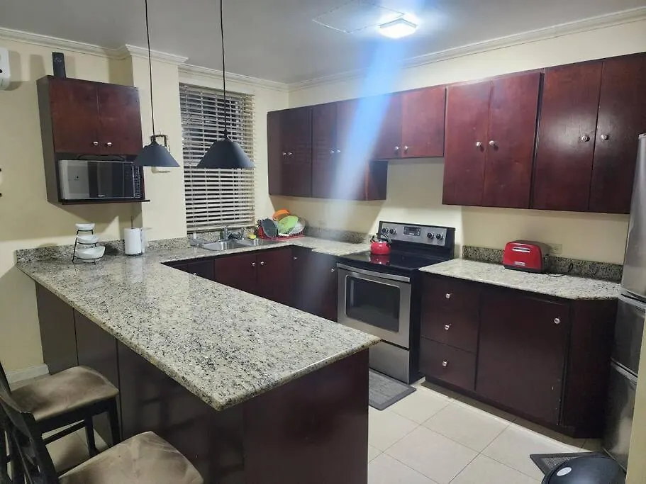 Luxury By The Hills Apartment Kingston
